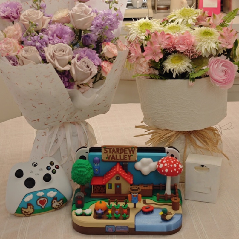 Switch Dock Stardew Valley Far - Gaming Console Holder avaliação e preço